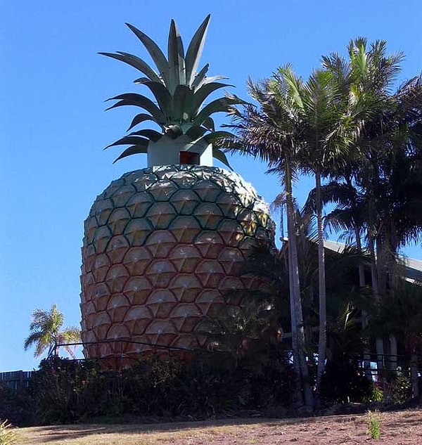 25. Большой ананас (Намбур, Квинсленд)