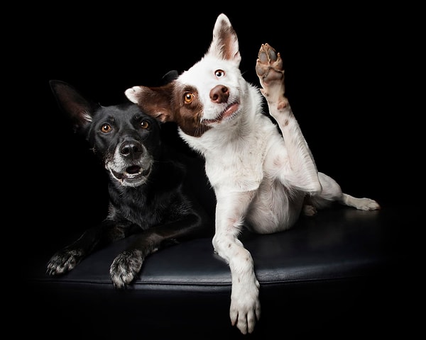7. "Я помашу за нас обоих"