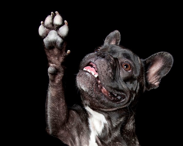 12. "Иди только наверх"