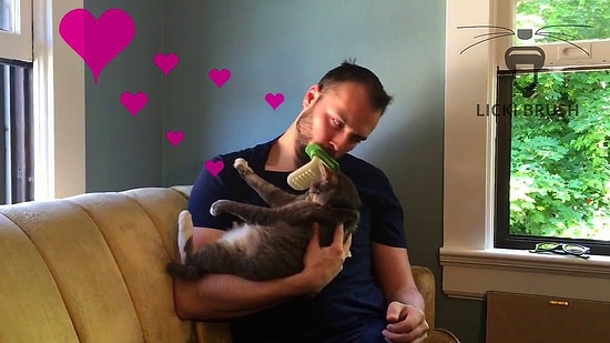 Теперь хозяева сами смогут вылизать своих усатых питомцев