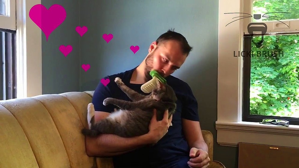 Теперь хозяева сами смогут вылизать своих усатых питомцев