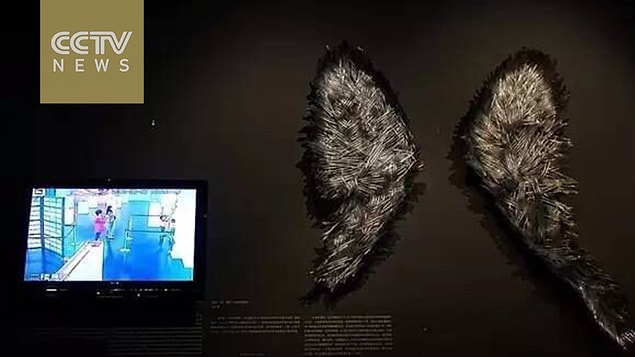 Eseri yapan sanatçı Shelly Xue, tamir etmek yerine öylece bırakacağını; sadece eserin adını "Broken" (Kırılmış) olarak değiştireceğini açıkladı.