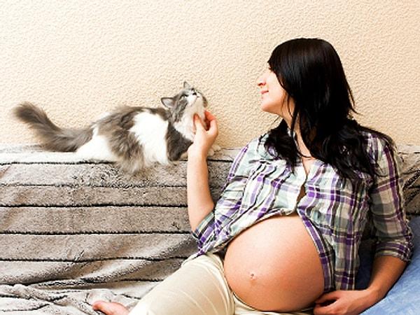 Özellikle hamile kadınlar, bu parazite maruz kalmamak için kedilerden köşe bucak kaçarlar.