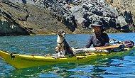 Один в лодке, не считая собаки: круиз на каяке по Средиземному морю