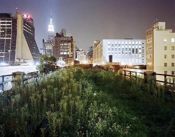 14. "The Highline: Above 34th Street Eastward", Jesse Chehak, 2004.