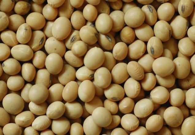 Soya