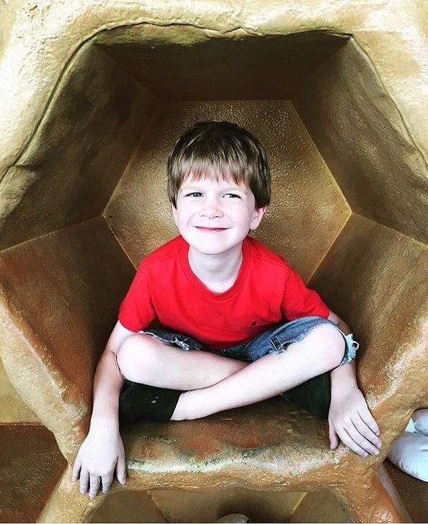 16. Они обожают забираться во всякие места - найдите их там