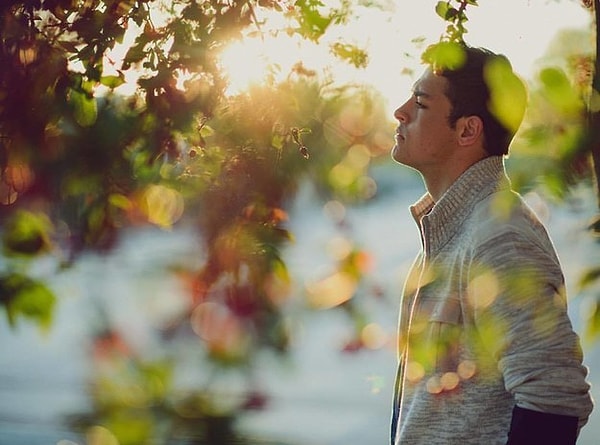 40. Попробуйте сфотографировать их под кроной дерева