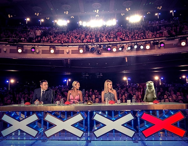 4. Выдра-фактор