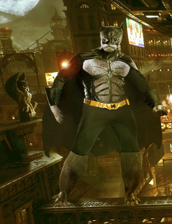 7. Бэт-выдра