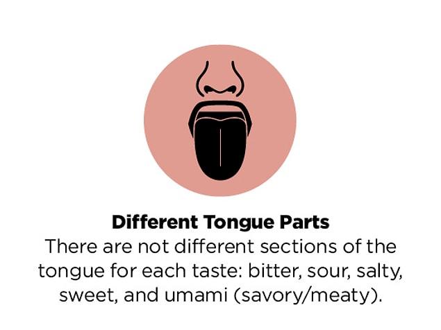 9. Different tongue parts for different tastes? 👅