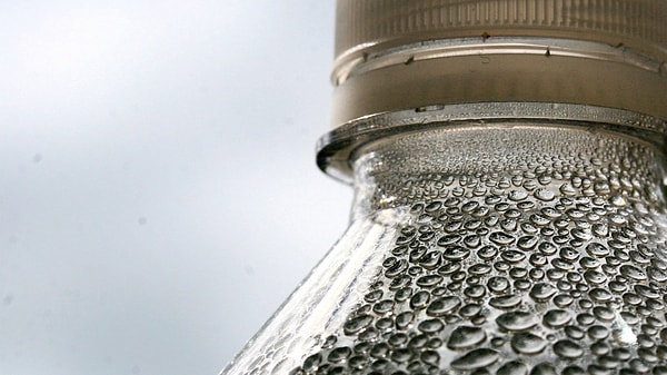 6. Человек, далекий от этого страха, вряд ли поймет трипофоба.