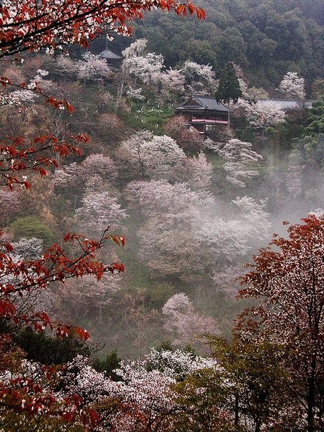 11. Misty temple in Yoshino, Japan