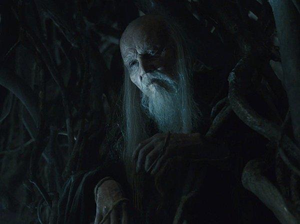 Bran'in 4. sezon finalinde nihayet tanıştığı, ağaçta yaşayan büyücü Bloodraven karakteri öncelikli olarak Struan Rodger'a aitti.