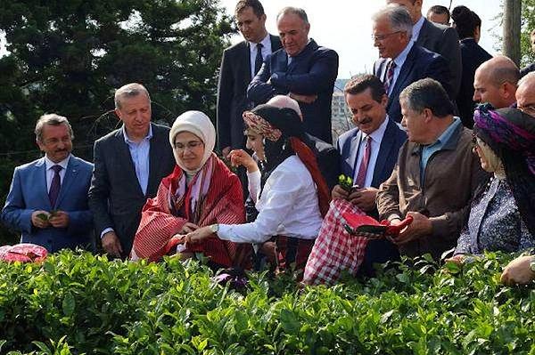 Yüksek yargının Erdoğan'ın ziyaretine eşlik etmesi ve eleştiriler: 'Yadırganacak bir durum değil'