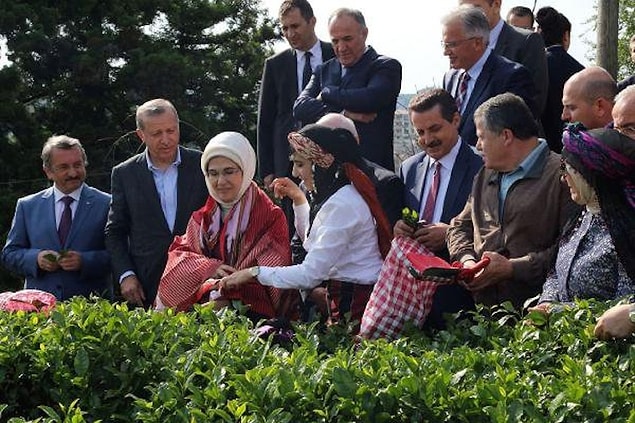 Yüksek yargının Erdoğan'ın ziyaretine eşlik etmesi ve eleştiriler: 'Yadırganacak bir durum değil'