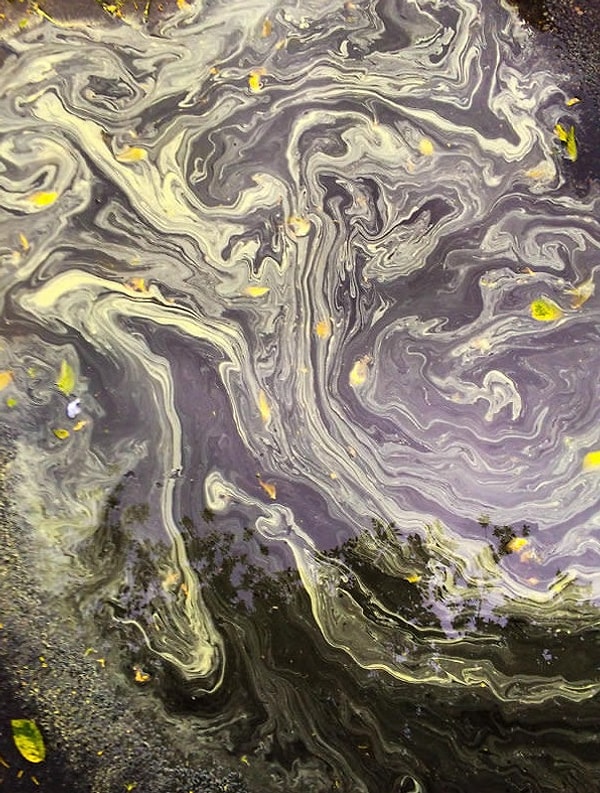 7. Краска + пыльца = звездная ночь