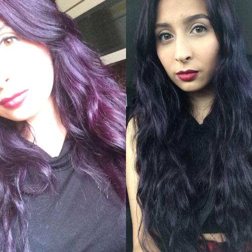 Eggplant Black Hair Color Find Your Perfect Hair Style