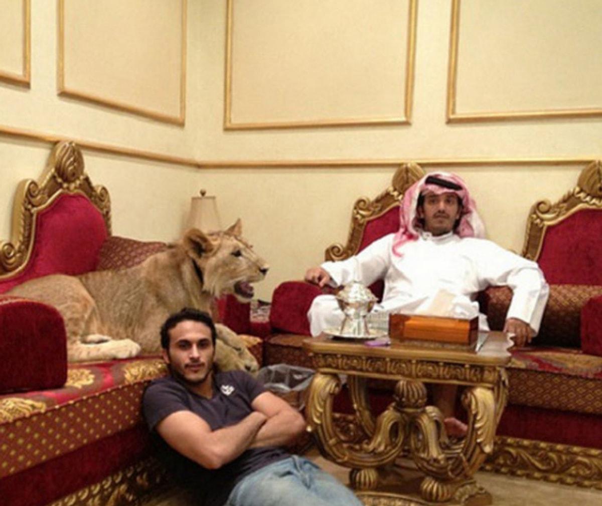 Как живут арабские. Богатый араб. Арабы богатые люди. Арабский богатый. Эмираты богатые люди.