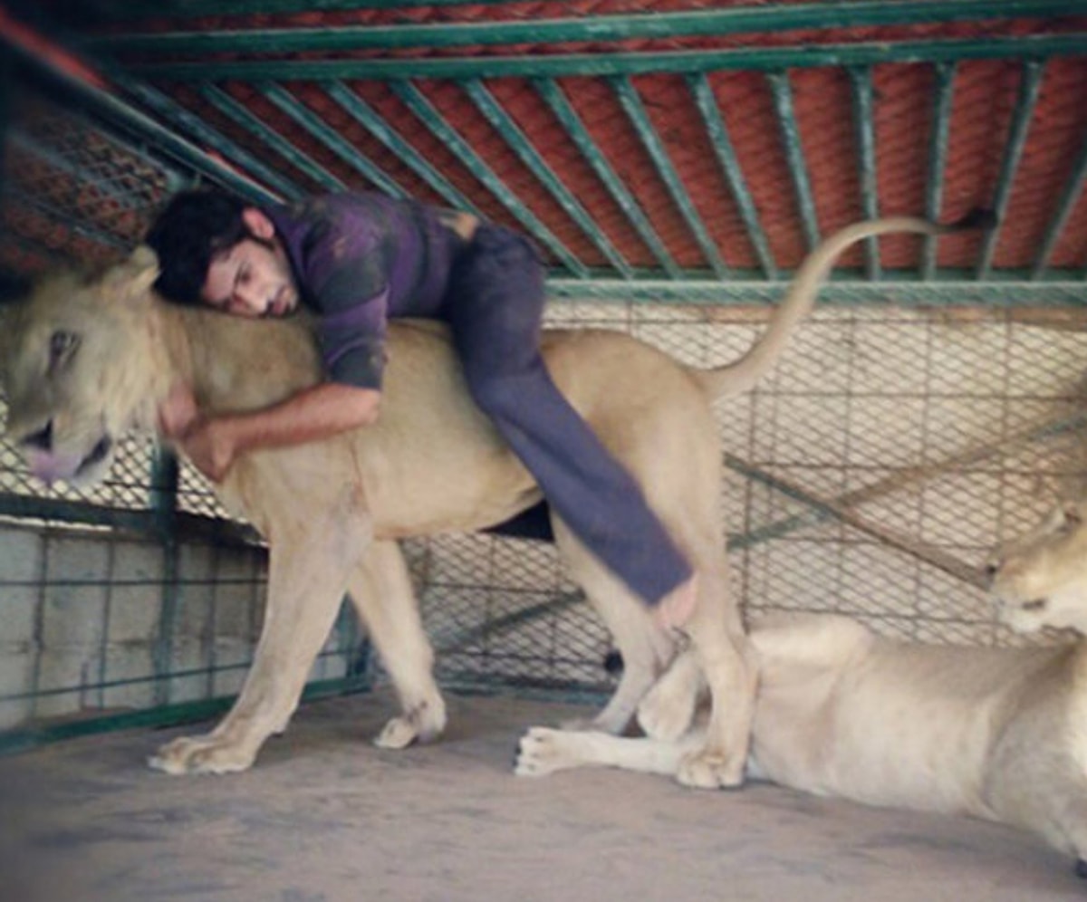 11. Ya siz neden bunlara biniyorsunuz, Allah'ınız yok mu? 