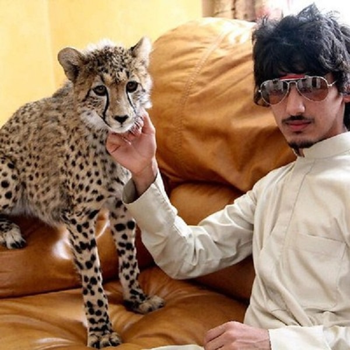 гюнтер iv - самый богатый пес в мире. немецкая овчарка гюнтер. гюнтер iv - самый богатый пес в мире. леона хелмсли. китайский хин собака фото.