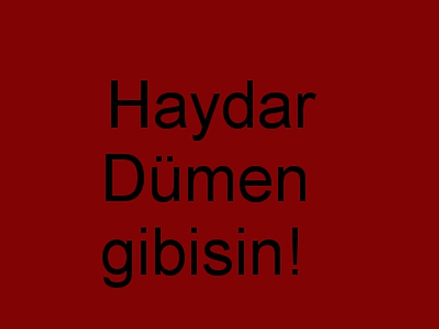 Haydar Dümen gibisin!