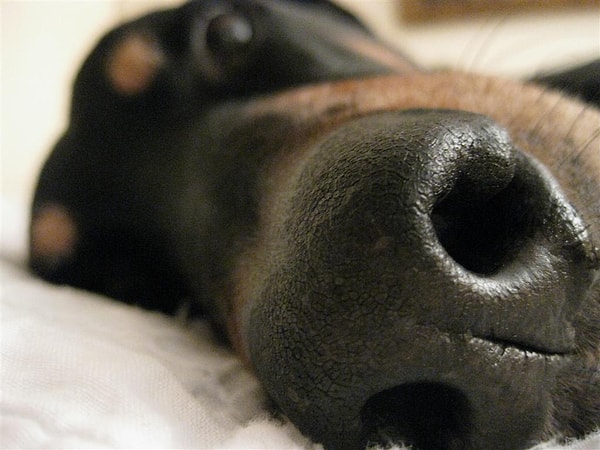 11. Доброе утро! Не разбудил?