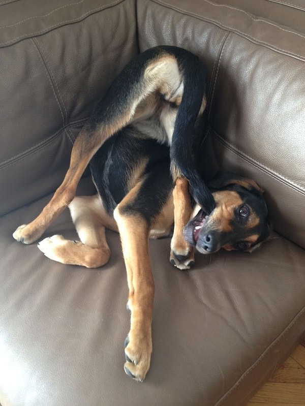 Тут ни сесть, ни лечь. Ужас просто.