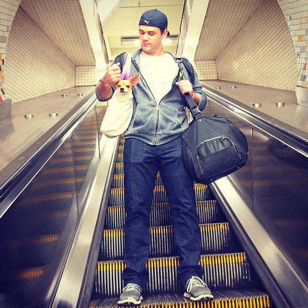 12. Правда ведь очень натурально получилось? 😂