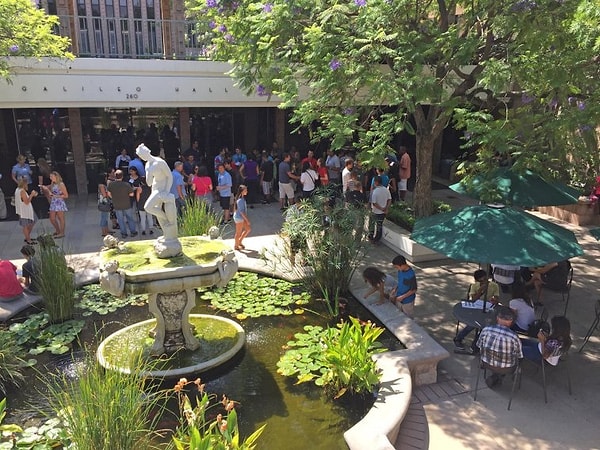 5. Бакалавр естественных наук, колледж Харви Мадд