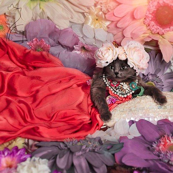 Pitzush, Instagram hesabında kendini bir "moda tutkunu" olarak tanımlıyor.