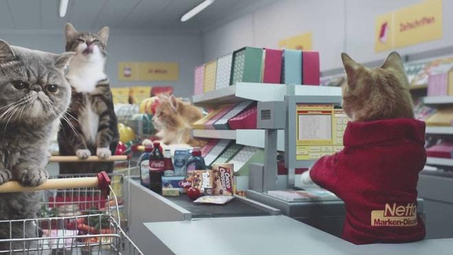 İnternetteki Viral Kedi Videoları Taklit Edilerek Yaratılan Minnoş Kedi Süpermarketi