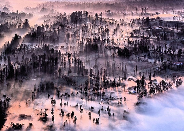 14. Туман над Цеморо Лаванг, Индонезия