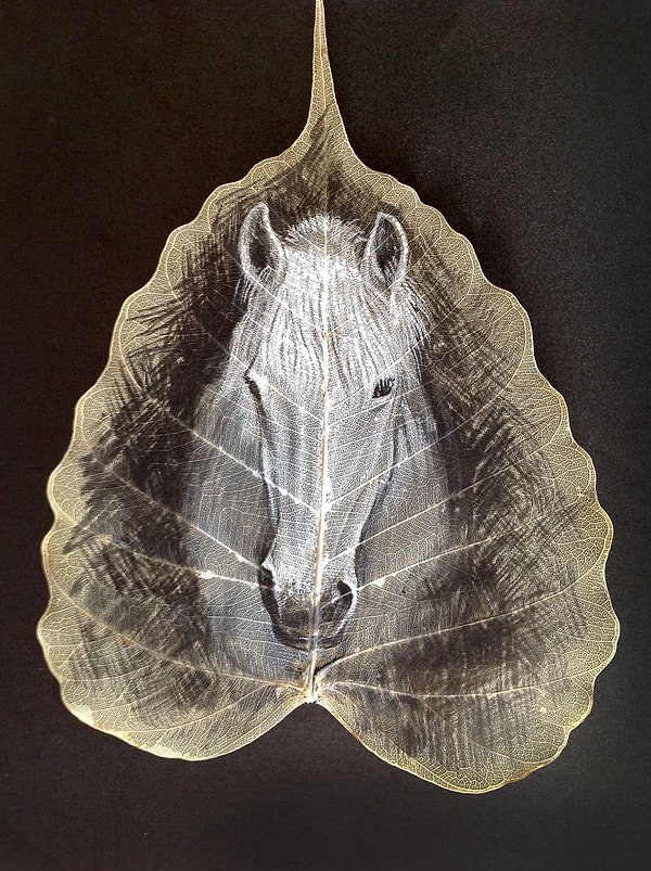 6. Арабская лошадь