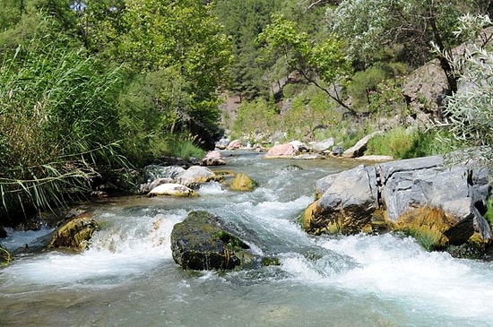 Danıştay'ın 'HES Yapılamaz' Kararına Rağmen İş Makineleri Alakır Vadisi'nde...