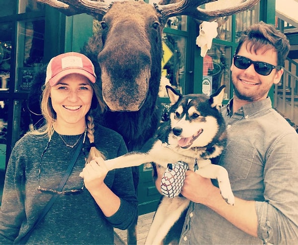 1. Семейное фото не может быть сделано без любимого пса.