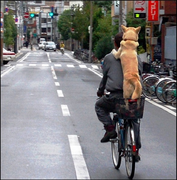 12. За покупками