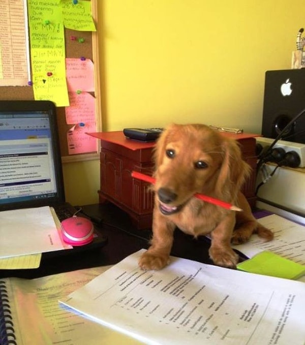 24. Где подписать?