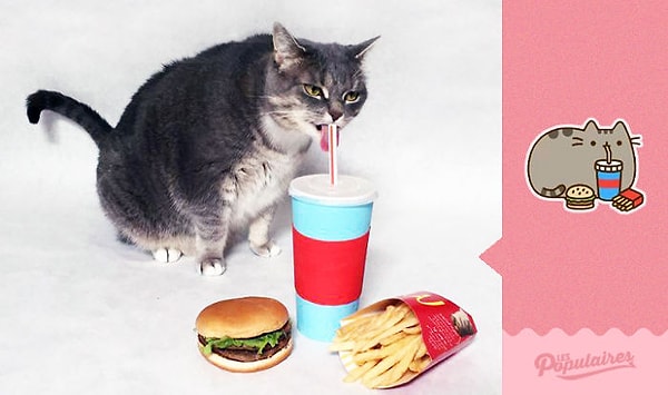 2. Кошка ест фаст-фуд.