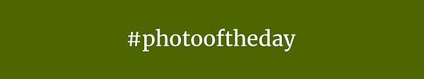 3. #photooftheday - 328 milyon gönderi