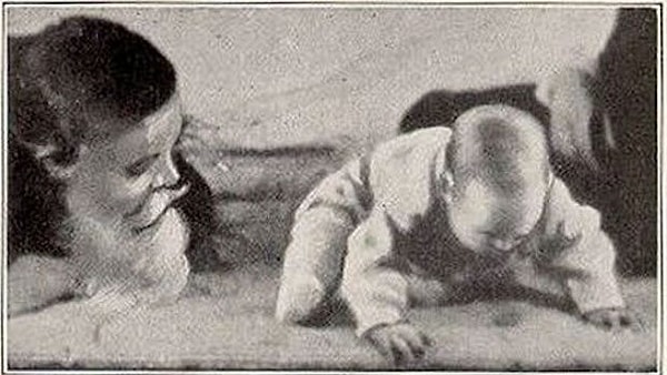 2. An 8-Month-Old Tot Is Chosen As The Subject