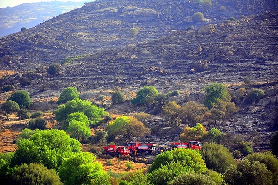 Bodrum'daki Yangında 250 Hektarlık Alan Kül Oldu