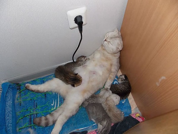 3. Измученная мама уснула прямо так