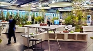 Aklınızı Başınızdan Alacak Güzellikte Yeni Nesil Ofis Alanı Yaklaşımı: Biyofilik Tasarım
