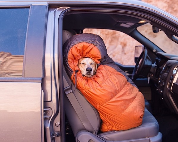 8. Такие дни парализуют душу и тело.