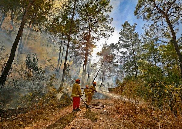 5- Adrasan'daki Yangın Kontrol Altına Alındı: En Az 150 Hektarlık Alan Kül Oldu