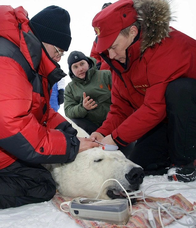 He's also shot a polar bear for science.