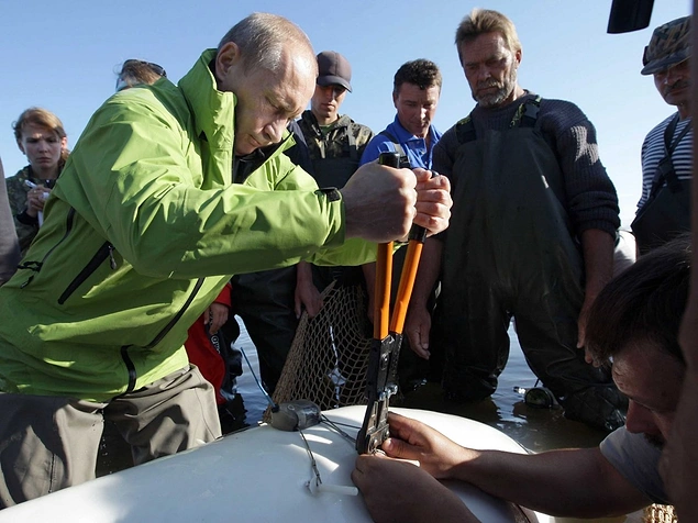 He is attaching a satellite tracking device to Dasha shortly after....