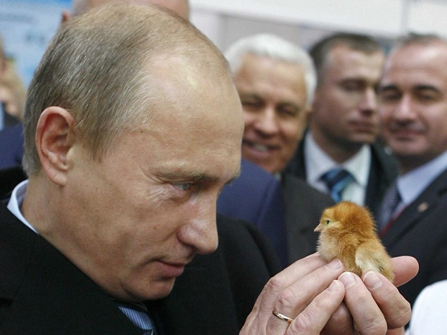 42 Photos Proving Vladimir Putin Never Jokes Around!