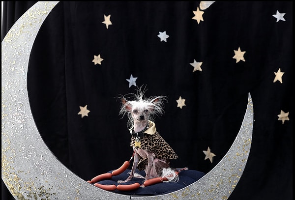 2. Раскал Дё из Саннивейла.